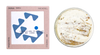 ABC+ Portugese Tinned Seafood