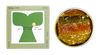 ABC+ Portugese Tinned Seafood