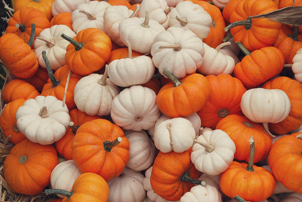 Halloween Cheeses