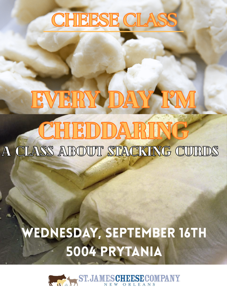 WEDNESDAY SEPTEMBER 16 - Every Day I'm Cheddaring