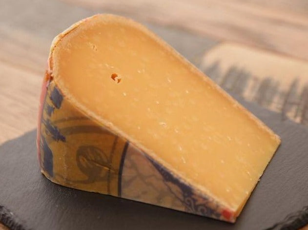 Noord Hollander