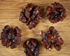 Caramelized Walnuts